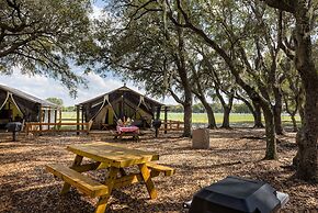 Westgate River Ranch Resort & Rodeo