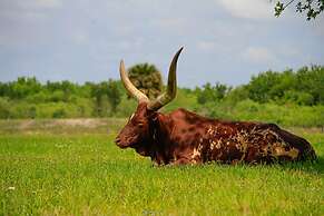 Westgate River Ranch Resort & Rodeo