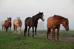 Westgate River Ranch Resort & Rodeo