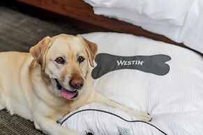 The Westin Charlotte