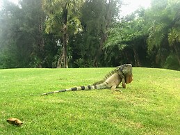 Sanibel Siesta on the Beach