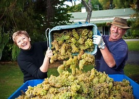 The Peppertree Luxury Accommodation