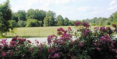 The Columbia Inn at Peralynna Manor