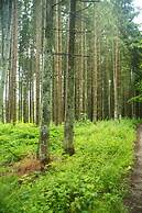 DEKRA Congresshotel Wart