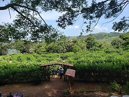 Adventure Park And Hotel Vista Golfo, Puntarenas