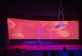 Viva Fortuna Beach by Wyndham, A Trademark All Inclusive