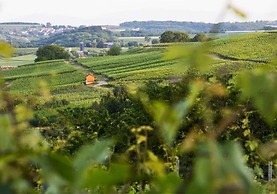 Hotel Zur Tanne