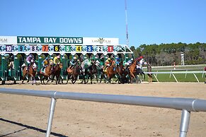 Holiday Inn Express Hotel & Suites Tampa Northwest - Oldsmar by IHG