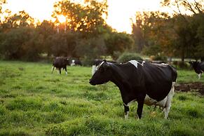 Irene Country Lodge, Autograph Collection®