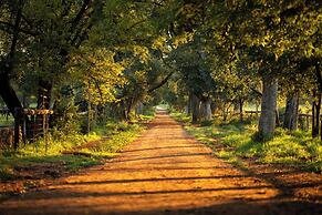 Irene Country Lodge, Autograph Collection®