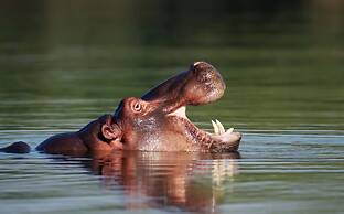 Irene Country Lodge, Autograph Collection®