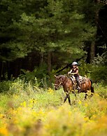 Villa Roma Resort and Conference Center