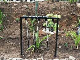 Binniguenda Huatulco & Beach Club