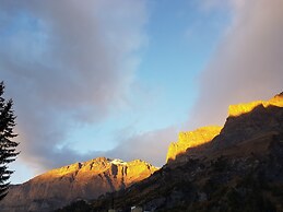 Le Bristol Leukerbad
