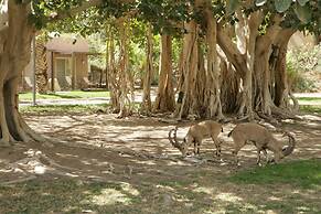 Ein Gedi Kibbutz Hotel