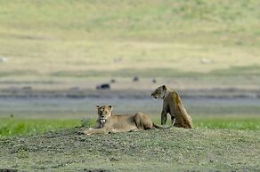 Ngorongoro Serena Safari Lodge