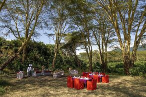 Ngorongoro Serena Safari Lodge