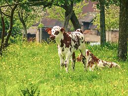 Mercure Omaha Beach Hotel