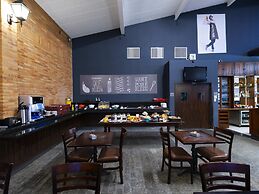 ibis Sao Carlos