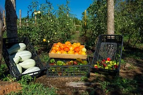 Tango Mar Beachfront Boutique Hotel & Villas