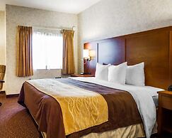 Comfort Inn Watsonville