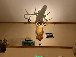 Wingate by Wyndham New Castle - Glenwood Springs