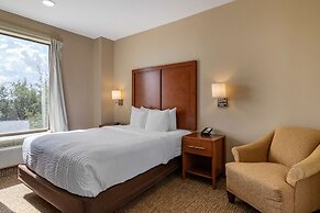 Comfort Suites near Texas Medical Center - NRG Stadium