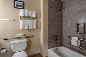 Comfort Suites near Texas Medical Center - NRG Stadium