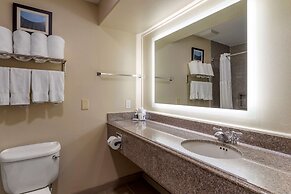 Comfort Suites near Texas Medical Center - NRG Stadium