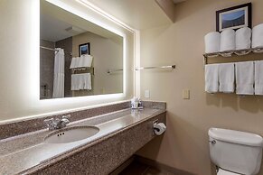 Comfort Suites near Texas Medical Center - NRG Stadium
