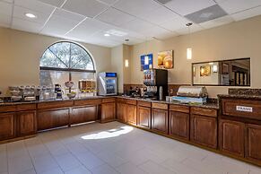 Comfort Suites near Texas Medical Center - NRG Stadium