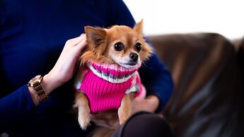 The Spires Serviced Apartments Aberdeen