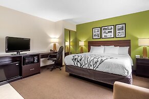 Sleep Inn & Suites Allendale