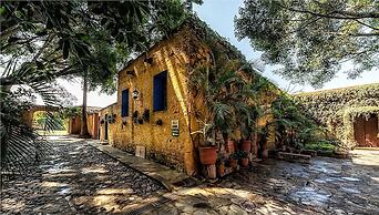 Hacienda El Carmen Hotel & Spa