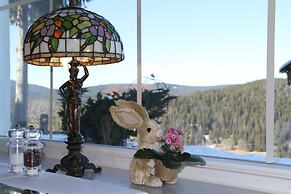 Hotel Diana Feldberg