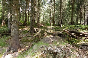 Hotel Diana Feldberg