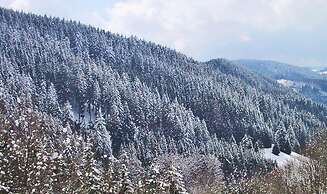 Hotel Diana Feldberg