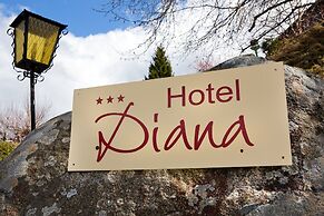 Hotel Diana Feldberg