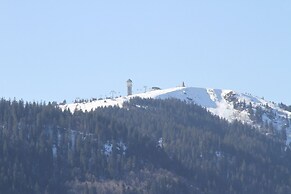 Hotel Diana Feldberg