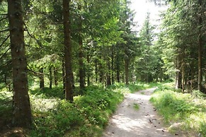 Hotel Diana Feldberg