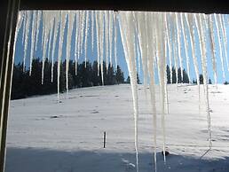 Hotel Diana Feldberg