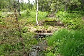 Hotel Diana Feldberg