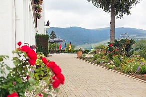 Hotel Diana Feldberg