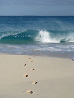 Carimar Beach Club