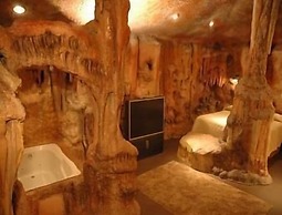 Wildwood Inn Tropical Dome & Theme Suites