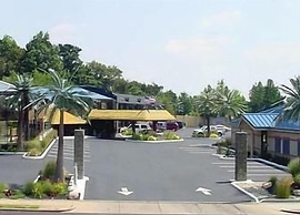 Wildwood Inn Tropical Dome & Theme Suites