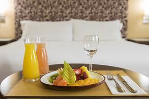 NH Mendoza Cordillera