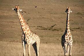 Kwantu Private Game Reserve