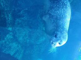 Super 8 by Wyndham Winnipeg West