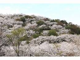 Hotel J's Nichinan Resort